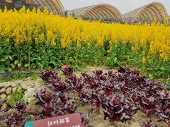 -中国天府农业博览园