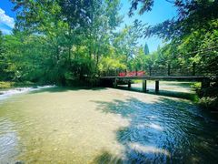 -桤木河湿地公园