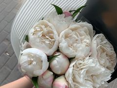 -双季花艺园艺市场(浦东店)