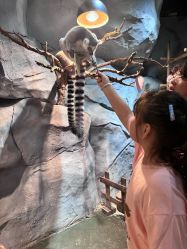 -Zoolung Zoolung动物主题公园(海信广场店)