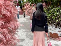 -The Grounds of Alexandria