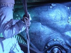 -国家海事博物馆