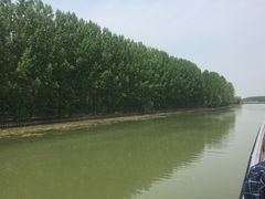 -微山湖红荷湿地景区