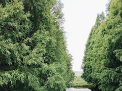 -捞渔河湿地公园