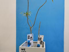 -Blueglass酸奶(北京环宇荟店)