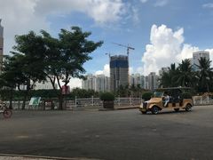 -万绿园