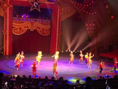 -珠海横琴长隆《卡卡虎奇遇记》