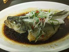 -大蓉和(双楠店)