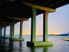 -宝安西湾红树林湿地公园