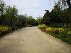 -蜀冈西峰生态公园