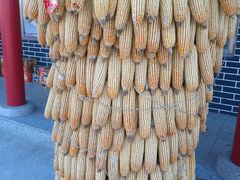 石锅鳝鱼-乐氏荤豆花