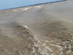 -观潮胜地公园