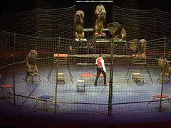 -珠海横琴长隆《卡卡虎奇遇记》