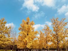 -重庆中央公园(渝北区)