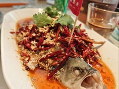 -杨氏青龙虾·羊蝎子(珠江路店)