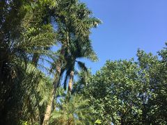 -佛山祈福仙湖酒店