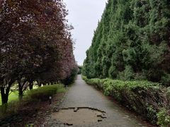 -秦始皇帝陵博物院-丽山园