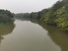 -海珠湖公园