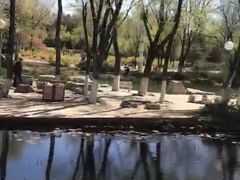 -滨河世纪广场公园