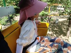 -朝阳公园游乐园