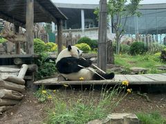 -大连森林动物园