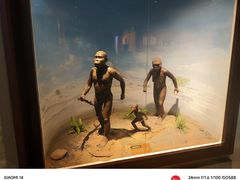 -国家自然博物馆