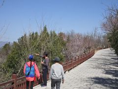 -白水寺森林公园