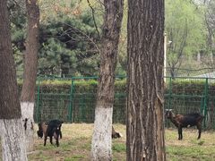 -长白岛森林公园