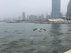 -星海广场