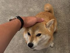 -三目仓咖啡(贤南路店)
