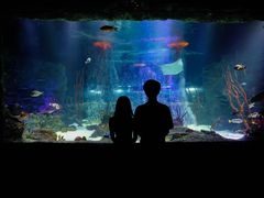 -沈阳海洋探索中心