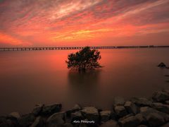 -宝安西湾红树林湿地公园