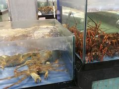 水产区-海天一色海景自助餐厅(西港花园店)