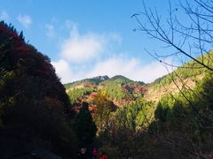 -黄花溪