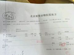-北京观赏动物医院·24小时大型综合·猫专科·异宠专科
