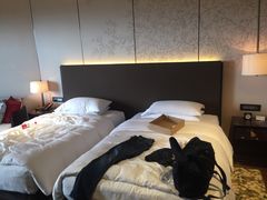 -上海崇明金茂凯悦酒店