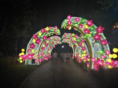 -映月湖公园