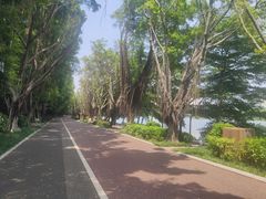 -南宁南湖公园