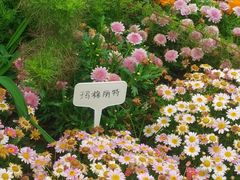 -东莞植物园