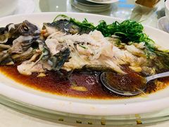 -金翠皇宫粤菜·点心·海鲜(科技园店)