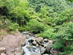 -龙湾潭国家森林公园