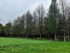 -同里国家湿地公园