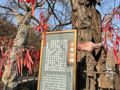 -水峪民俗村
