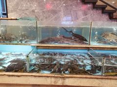 水产区-饭怕鱼(阳光100店)