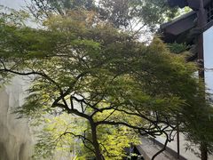 -常熟方塔园