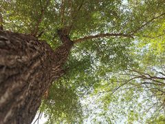 -长春公园(普阳街道)