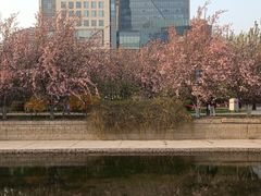 -元大都城垣遗址公园