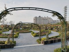 -金银湖国家城市湿地公园