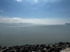 -福田红树林生态公园