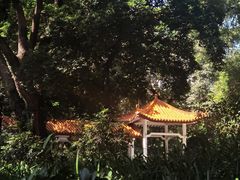 -东山湖公园